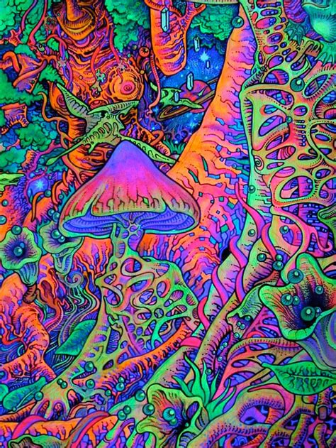 Butterflies Psychedelic Art Trippy Wallpaper Hippie Art