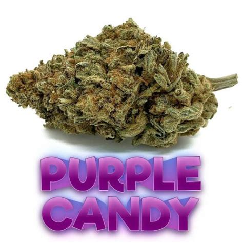 Purple Candy — Fantastic Weeds