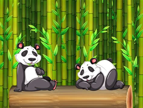 Dos Osos Panda En El Bosque De Bambú 301092 Vector En Vecteezy