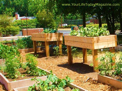 Learn about the advantages and issues with an elevated garden bed is a deep, rectangle planter box with four legs. Raised Garden Beds Ideas for Growing Images