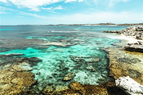 Semporna island hopping day trip snorkeling (mabul & kapalai). What To Know Before Your Day Trip To Rottnest Island ...