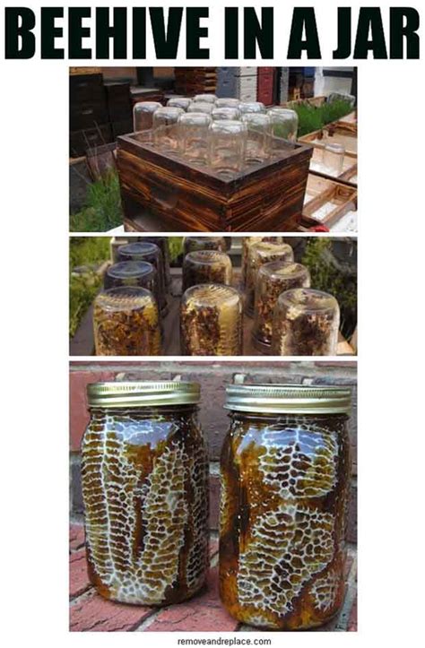 How To Easily Make A Beehive In A Jar Diy Project