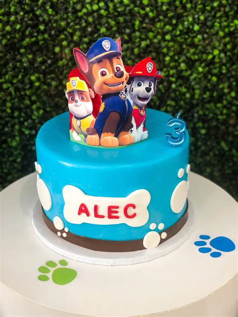 Paw Patrol Single Tier Cake Peter Brown Bruidstaart