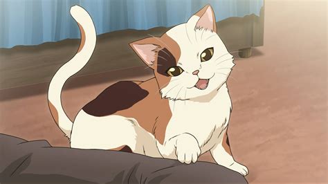 Download Anime Calico Cat Wallpaper Wallpapers Com