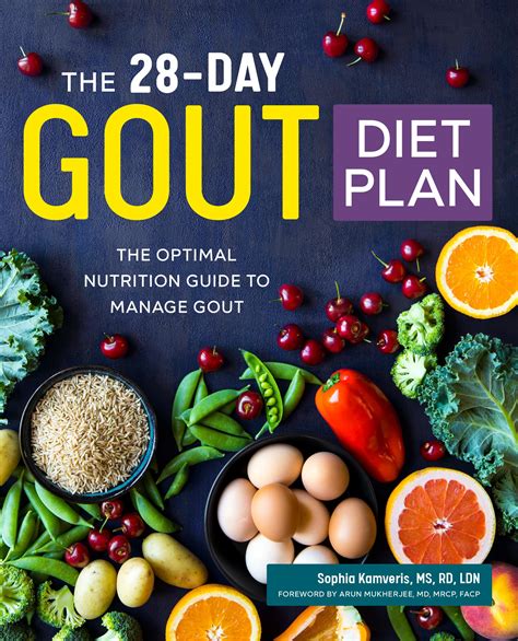 The 28 Day Gout Diet Plan Paperback