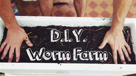 Diy Worm Farm Youtube