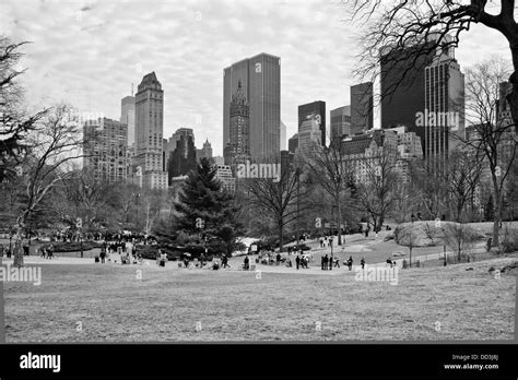 New York Central Park Skyscraper Bandw Stock Photo Alamy