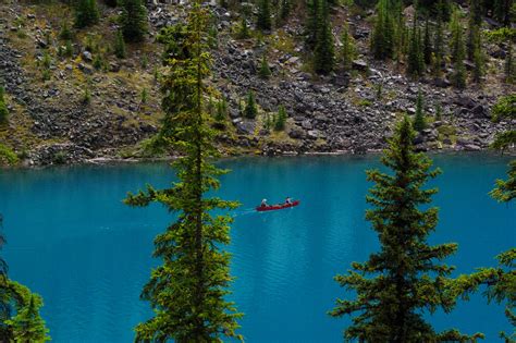 Canada Lake Parks Banff Fir Moraine Lake Nature Wallpapers Hd