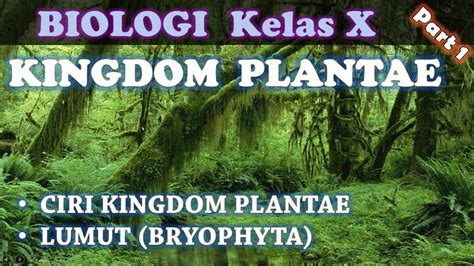 KINGDOM PLANTAE Part 1 Ciri Kingdom Plantae Lumut Bryophyta