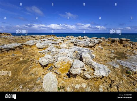 Unusual Rock Formations At Ocean Coastline In Australia Stock Photo Alamy