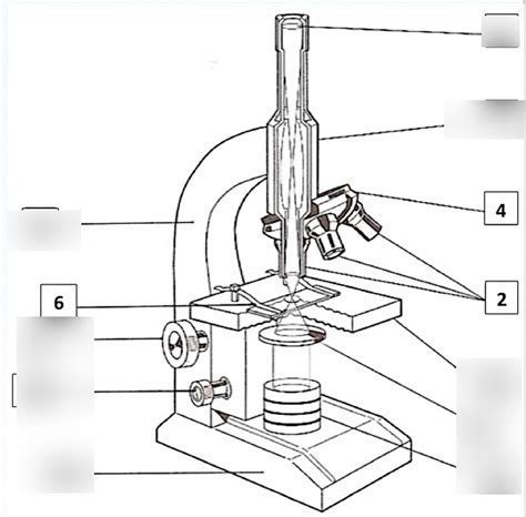 Modern Compound Light Microscope Diagram Quizlet