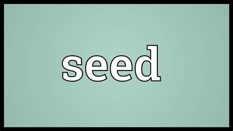 Seed Meaning - YouTube