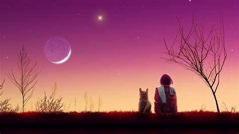 Tapeta Na Monitor Anime Hvězdy Kočka Západ Slunce Měsíc Večer