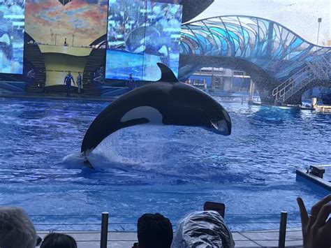 Blackstone Sells Stake In Seaworld To Chinese Investment Group