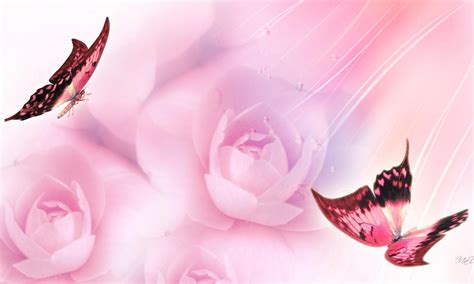Free Download Pretty Pink Butterfly Wallpaper 1280x768 For Your