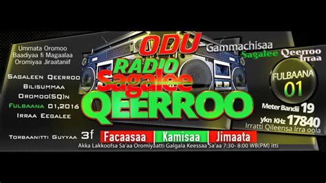 Sagalee Qeerroo Bilisummaa Oromoo Ebla 92017 Youtube