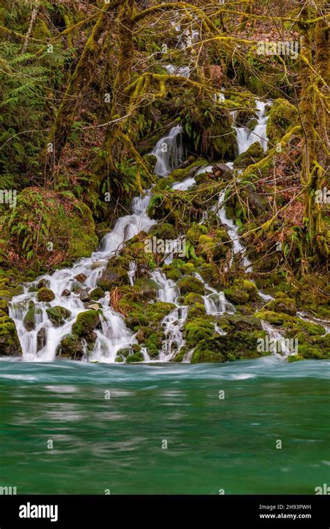 Waterfall Entering The South Fork Skokomish River In Olympic National