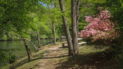 Campgrounds Fannin County Chamber Of Commerce Blue Ridge Georgia