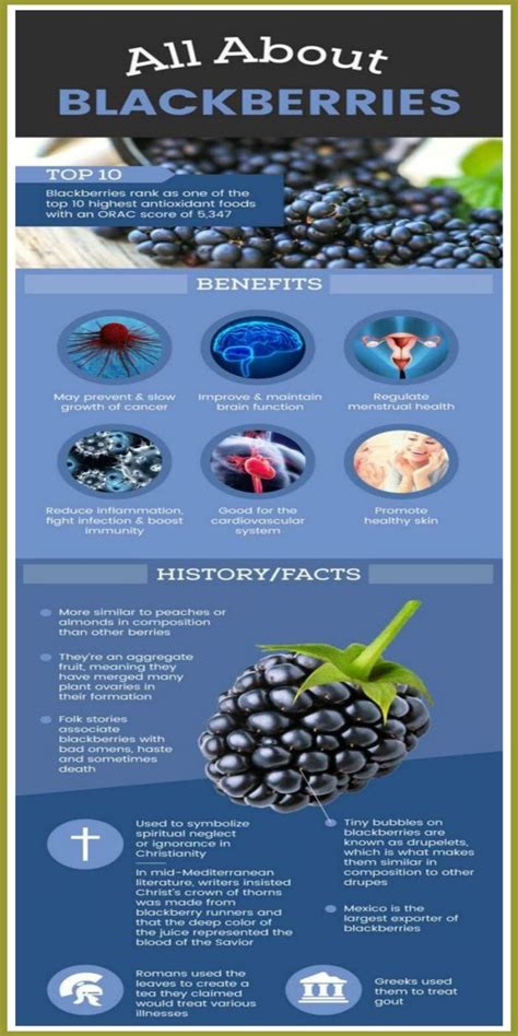 6 Amazing Health Benefits Of Blackberries Blackberry Nutrition