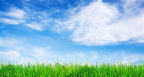 Grass And Sky Stock Image Image Of Grass Idyllic Green 13293029