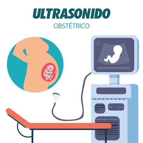 Ultrasonido Obstetrico Laboratorio Médico Samalab