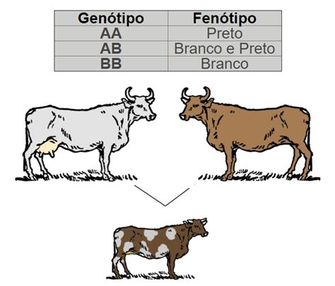 Codominância Biocienciaforadehora