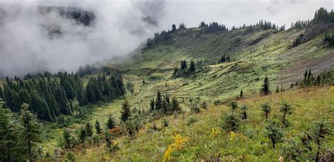 Alpine Meadow With Fog In Mt Rainier National Park Wa 4032x1960 Oc