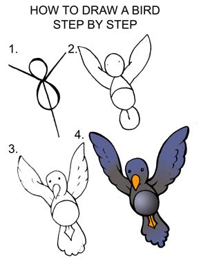 Touching the top of the first oval you drew, make another smaller oval that will be the head of your bird. DARYL HOBSON ARTWORK: How To Draw A Bird Step By Step