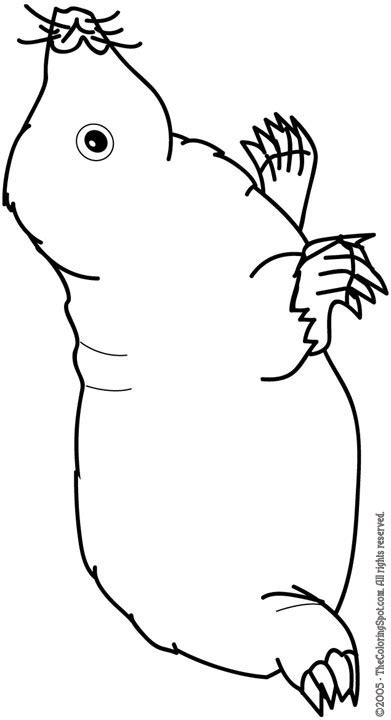 mole | Audio Stories for Kids | Free Coloring Pages | Colouring Printables