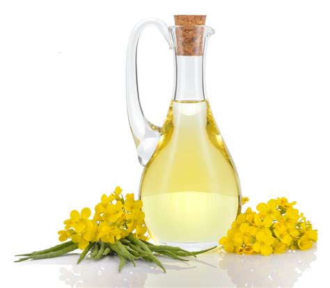 Canola Oil Universal Trading Indonesia Ingredients Network