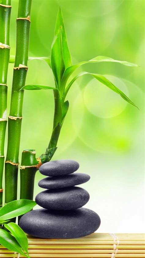 Bamboo With Rocks Zen Wallpaper Zen Pictures Zen Decor