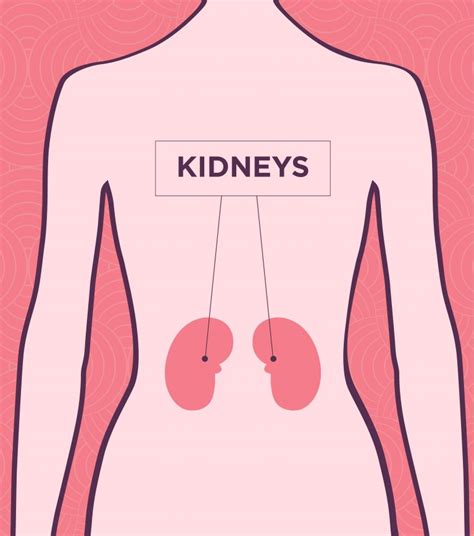 Why Do My Kidneys Hurt Flank Pain