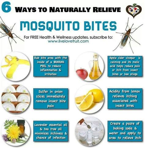 Pin By Geda Dao On Mosquito Bite Allergy Remedies For Mosquito Bites