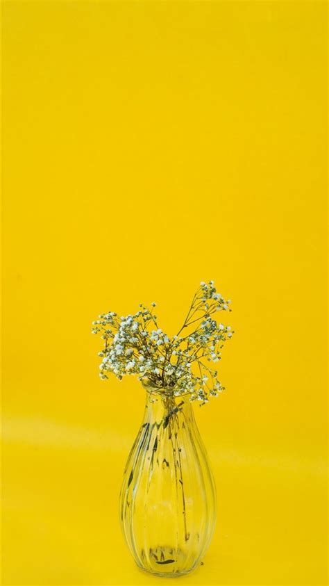 White Flowers In Clear Glass Vase Iphone 8 Wallpapers Free Download