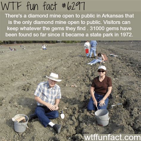 Wtf Fun Facts Page 762 Of 1408 Funny Interesting And Weird Facts
