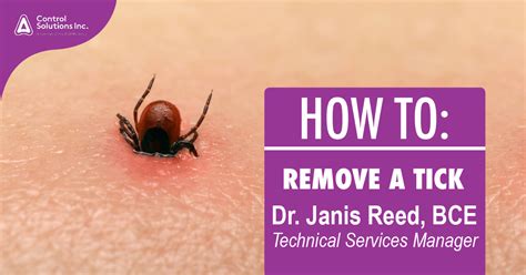 How To Remove A Tick With Nail Polish Howtoremvo