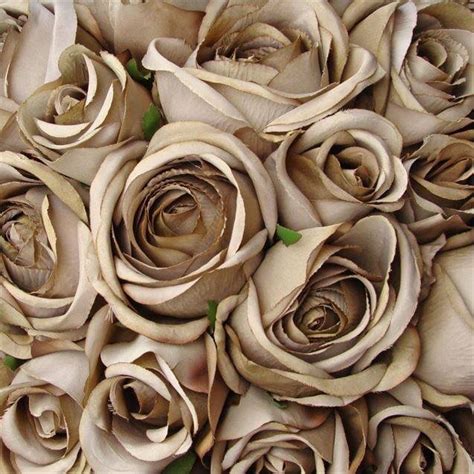 Taupe Brown Roses Brown Flowers Wedding Flowers Roses Wedding