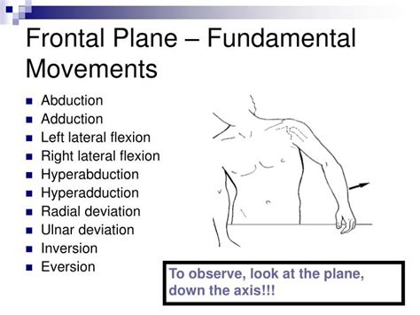 Ppt Movement Terminology Powerpoint Presentation Id1184511