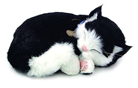 Stuffed Cats That Look Real