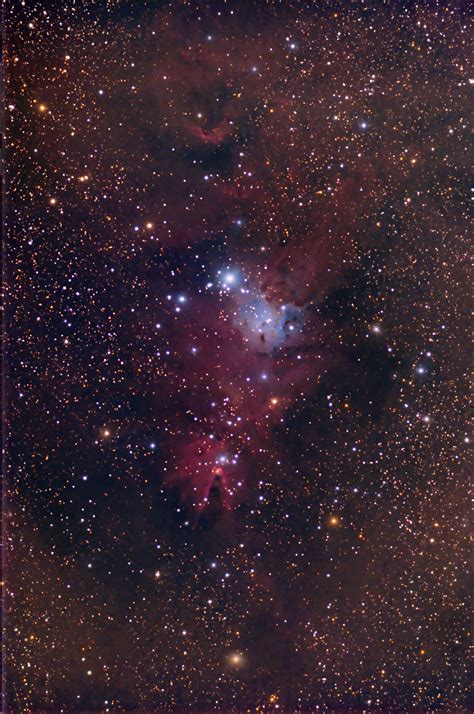 Deodato Franco Ngc 2264 Cone Nebula