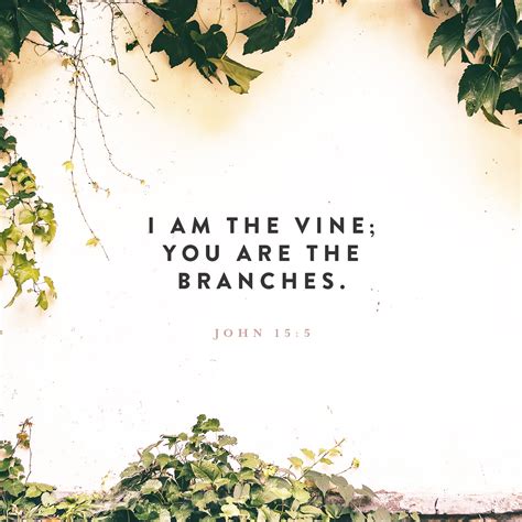 John 15 5 “i Am The Vine You Are The Branches If You Remain In Me And I In You You Will Bear