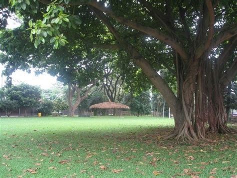 Check spelling or type a new query. Taman Rusa Kemang Pratama Kota Bks, Jawa Barat - Nasional ...