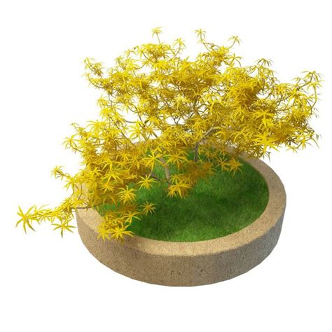 41,000+ vectors, stock photos & psd files. Ornamental tree in concrete planter 3d model 3ds max files ...