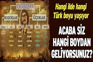 Türklerin Soy Ağacı çıkarıldı Acaba Hangi Soydansınız Agaci Periodic