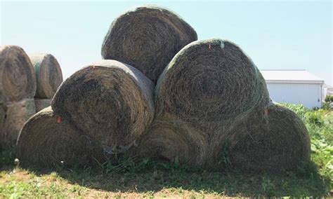 Best Management Practices For Reducing Dry Hay Storage Loss