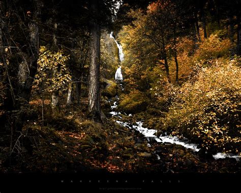 Осень лес ручей березы обои для рабочего стола картинки фото