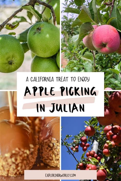Apple Days In Julian California Exploring Our World Julian