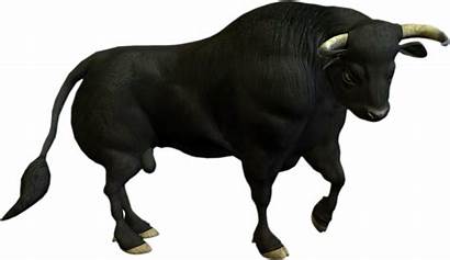 Digital Bull Scrapbooking Reasons Try Animal Clip