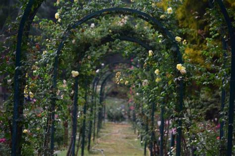 21 magical secret garden designs for your perfect getaway foter