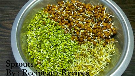 Sprouts How To Make Sprouts At Home Recipeana Youtube